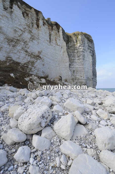 Erosion d'une falaise de craie - blocs de craie en cours de dissolution - gryphea.org